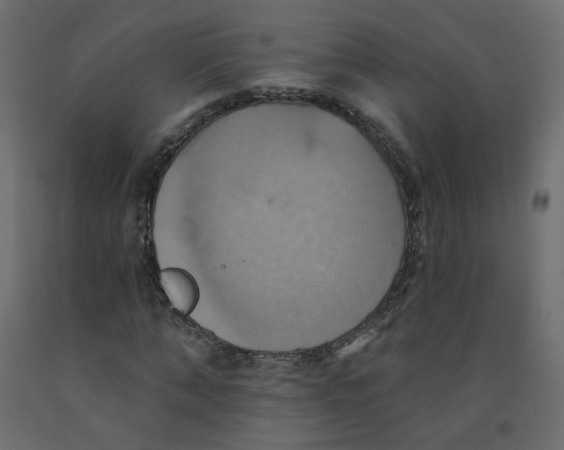 X0000092110870200710101141