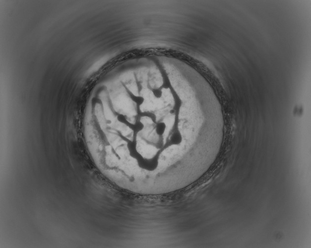 X0000092110871200710101141