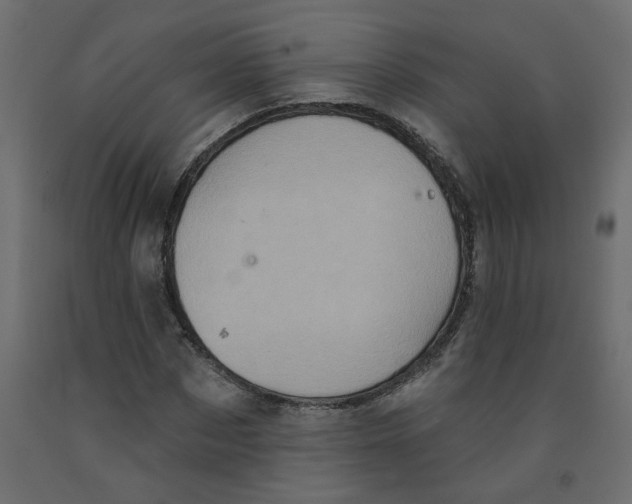 X0000092110873200710101141