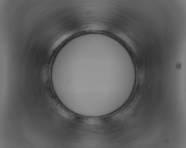 X0000092110874200710101141