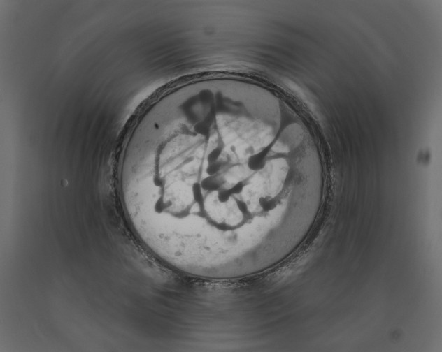 X0000092110875200710101141