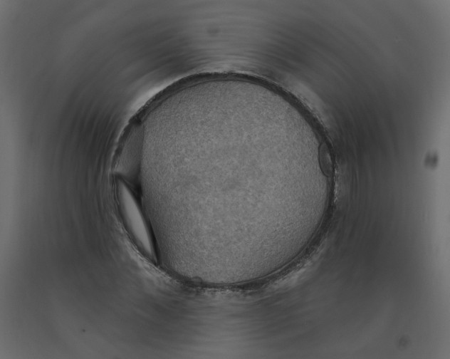 X0000092110876200710101141
