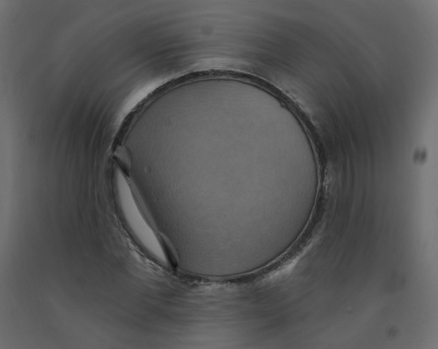 X0000092110877200710101141