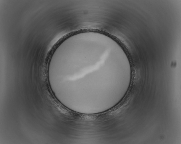 X0000092110878200710101141