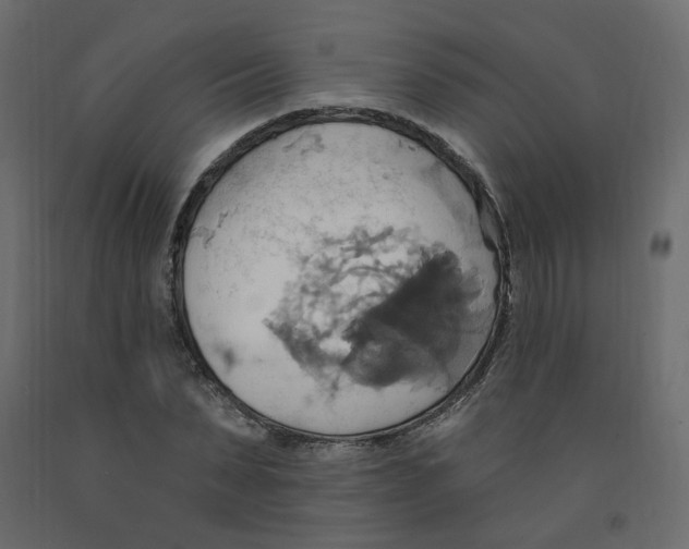 X0000092110879200710101141