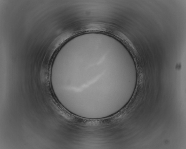 X0000092110882200710101141