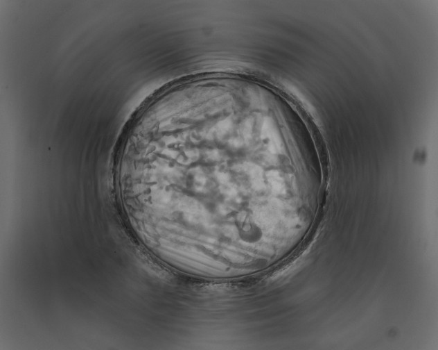 X0000092110883200710101141