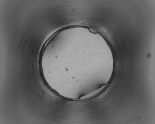 X0000092110884200710101141