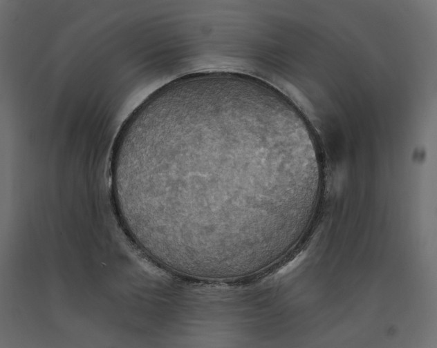 X0000092110885200710101141