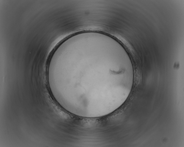 X0000092110886200710101141