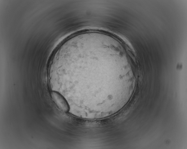 X0000092110887200710101141