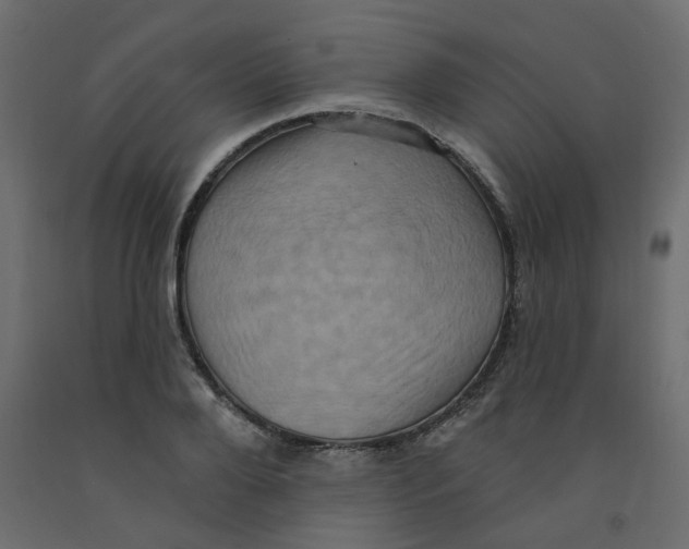 X0000092110888200710101141