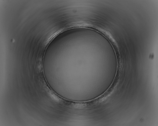 X0000092110889200710101141