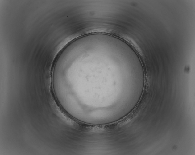 X0000092110890200710101141