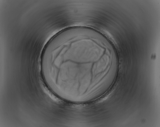 X0000092110892200710101141