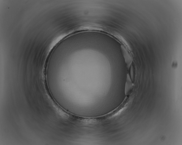 X0000092110893200710101141
