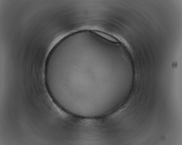 X0000092110894200710101141