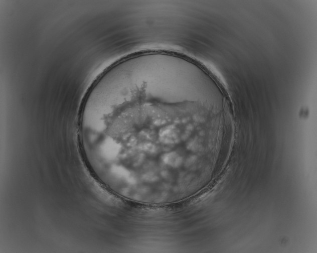 X0000092110895200710101141