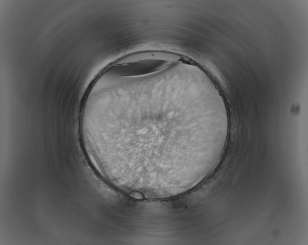 X0000092110896200710101141