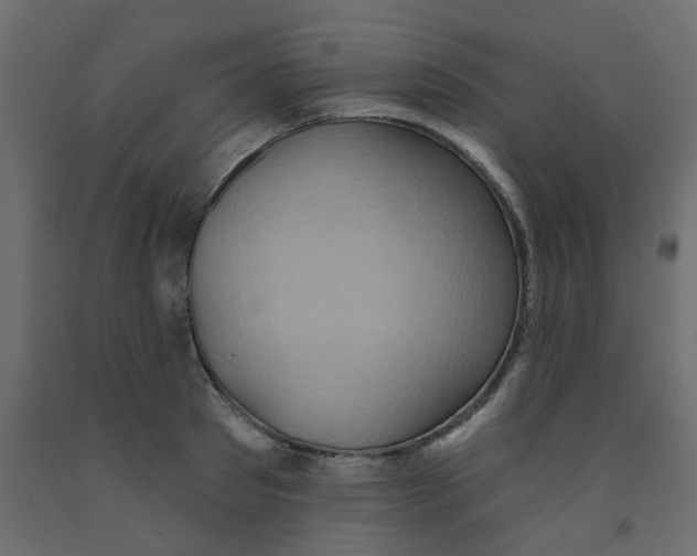 X0000092110897200710101141