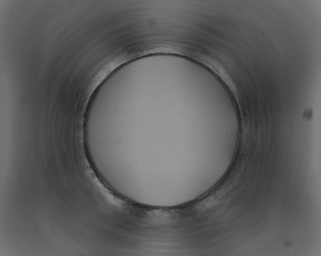 X0000092110898200710101141