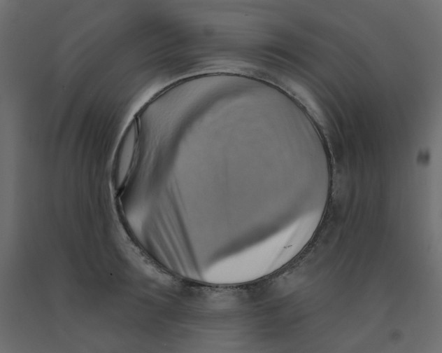 X0000092110899200710101141