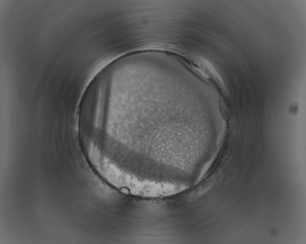 X0000092110900200710101141