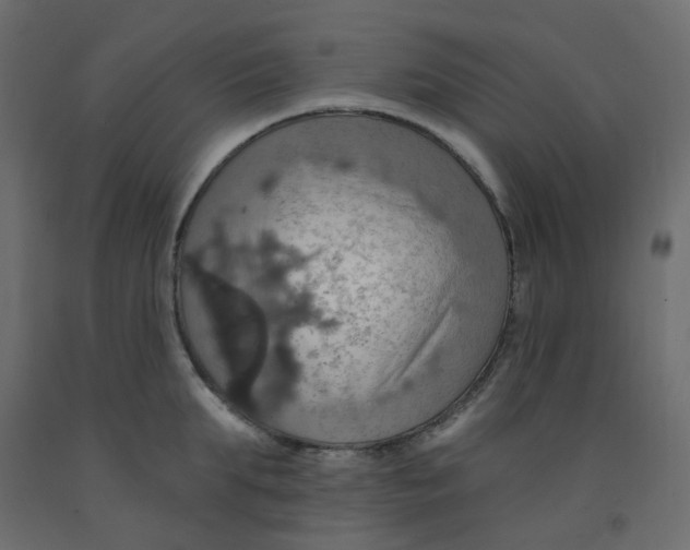 X0000092110903200710101141