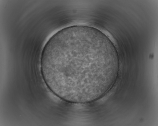X0000092110904200710101141