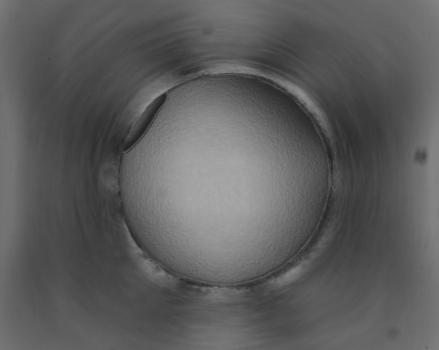 X0000092110905200710101141