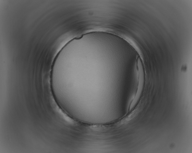 X0000092110906200710101141