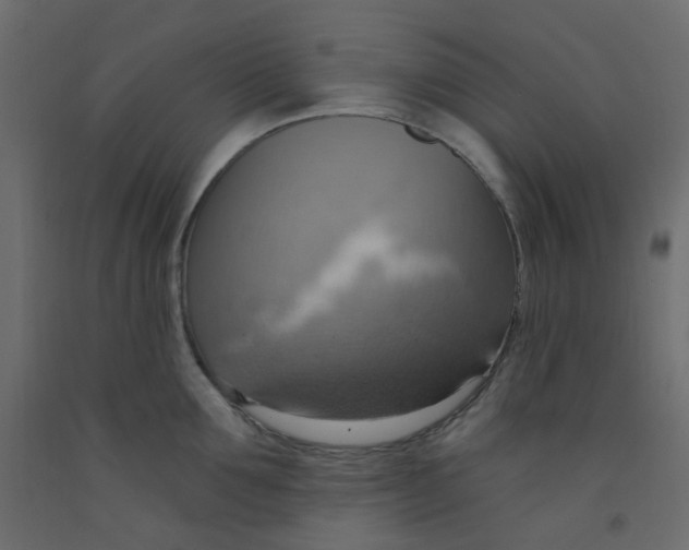 X0000092110907200710101141