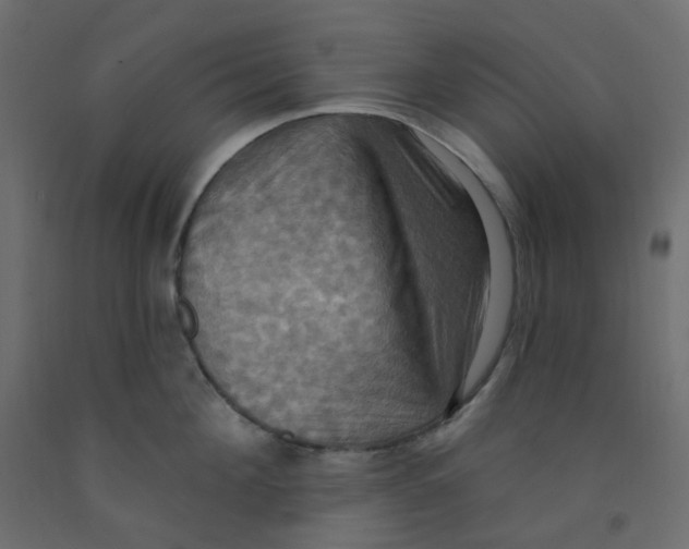 X0000092110908200710101141