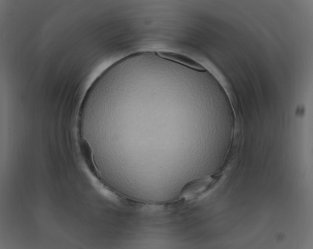 X0000092110909200710101141