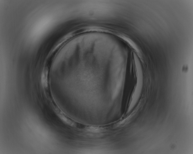 X0000092110910200710101141