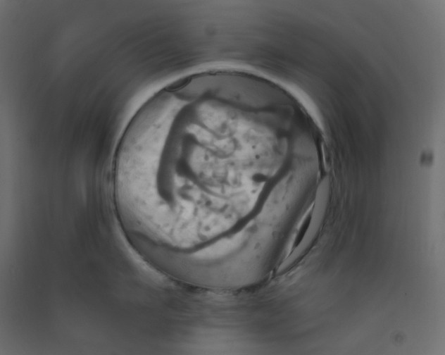 X0000092110911200710101141