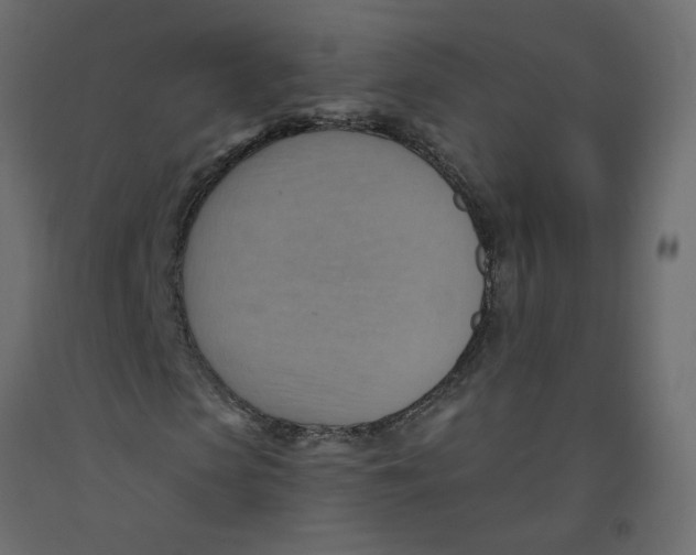 X0000092110913200710101140