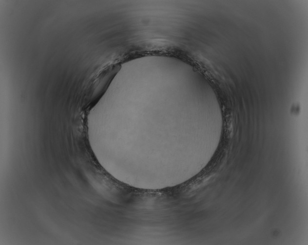 X0000092110916200710101140