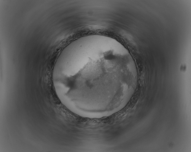 X0000092110917200710101140