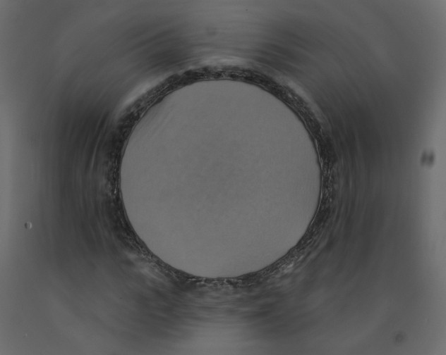 X0000092110919200710101140