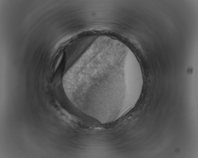 X0000092110920200710101140