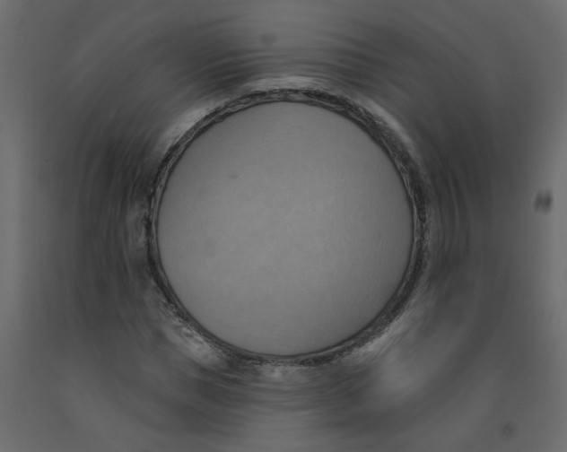 X0000092110921200710101140