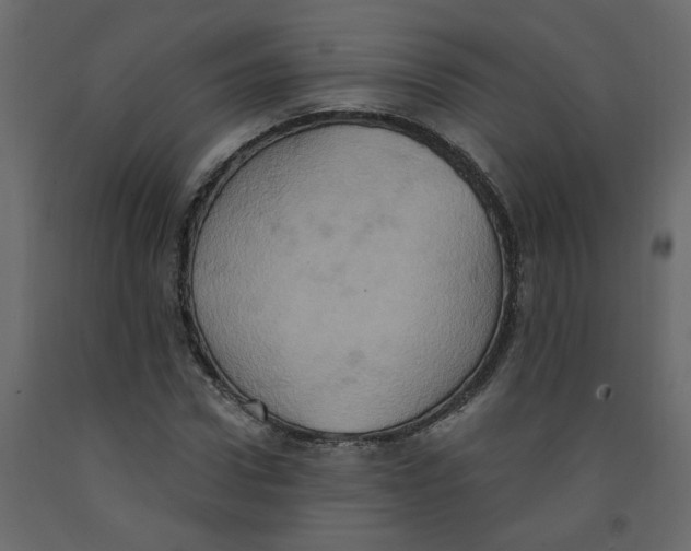 X0000092110922200710101140