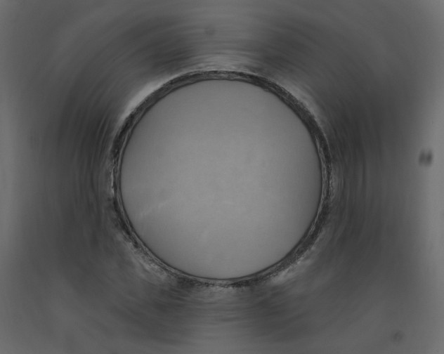 X0000092110925200710101140
