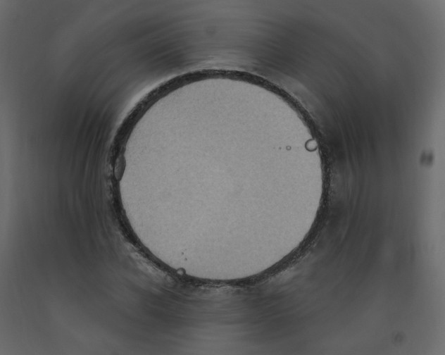 X0000092110926200710101140