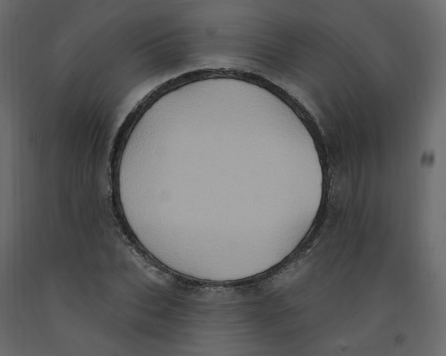 X0000092110927200710101140