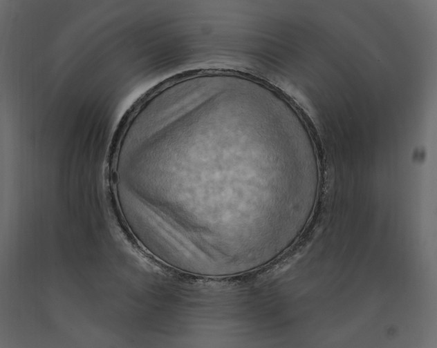 X0000092110928200710101140