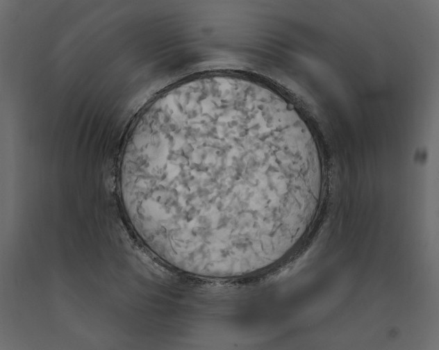 X0000092110929200710101140