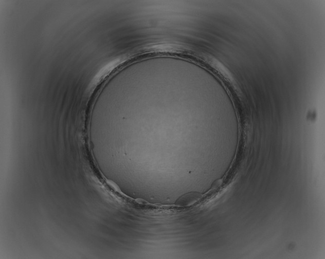 X0000092110930200710101140