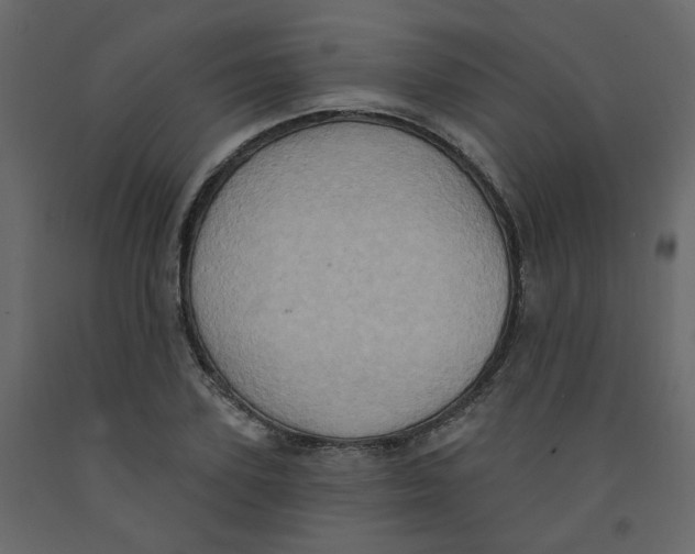 X0000092110931200710101140